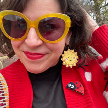 Load image into Gallery viewer, Ladybird Brooch