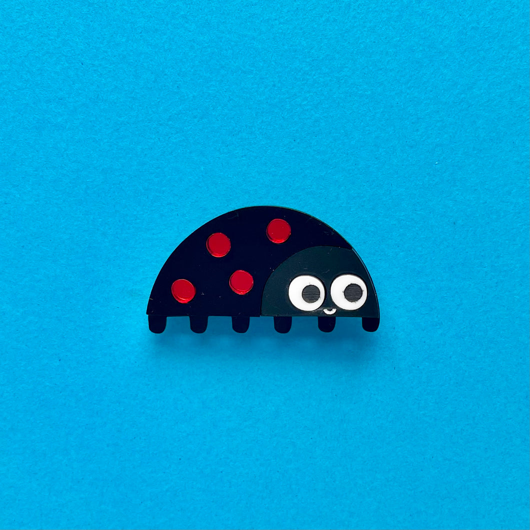 Harlequin Ladybird Brooch