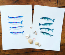 Load image into Gallery viewer, Sardine Illustration - unframed giclee print