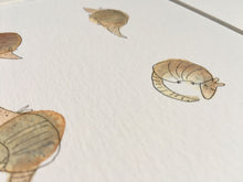 Load image into Gallery viewer, Armadillo illustration - unframed print