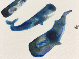Sperm Whales Illustration - unframed giclee print
