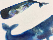 Load image into Gallery viewer, Sperm Whales Illustration - unframed giclee print
