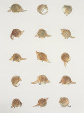 Load image into Gallery viewer, Armadillo illustration - unframed print