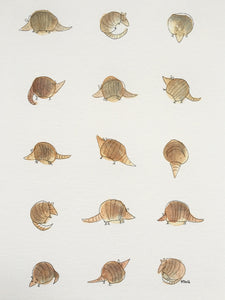 Armadillo illustration - unframed print