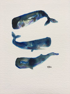 Sperm Whales Illustration - unframed giclee print