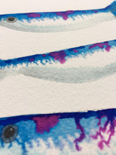 Load image into Gallery viewer, Sardine Illustration - unframed giclee print