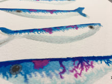 Load image into Gallery viewer, Sardine Illustration - unframed giclee print