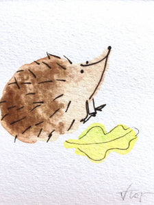 Hedgehog Illustration unframed mini-print