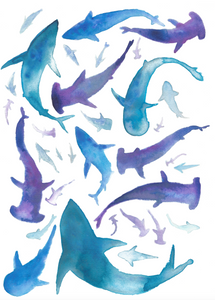 Sharks Illustration - unframed giclee print