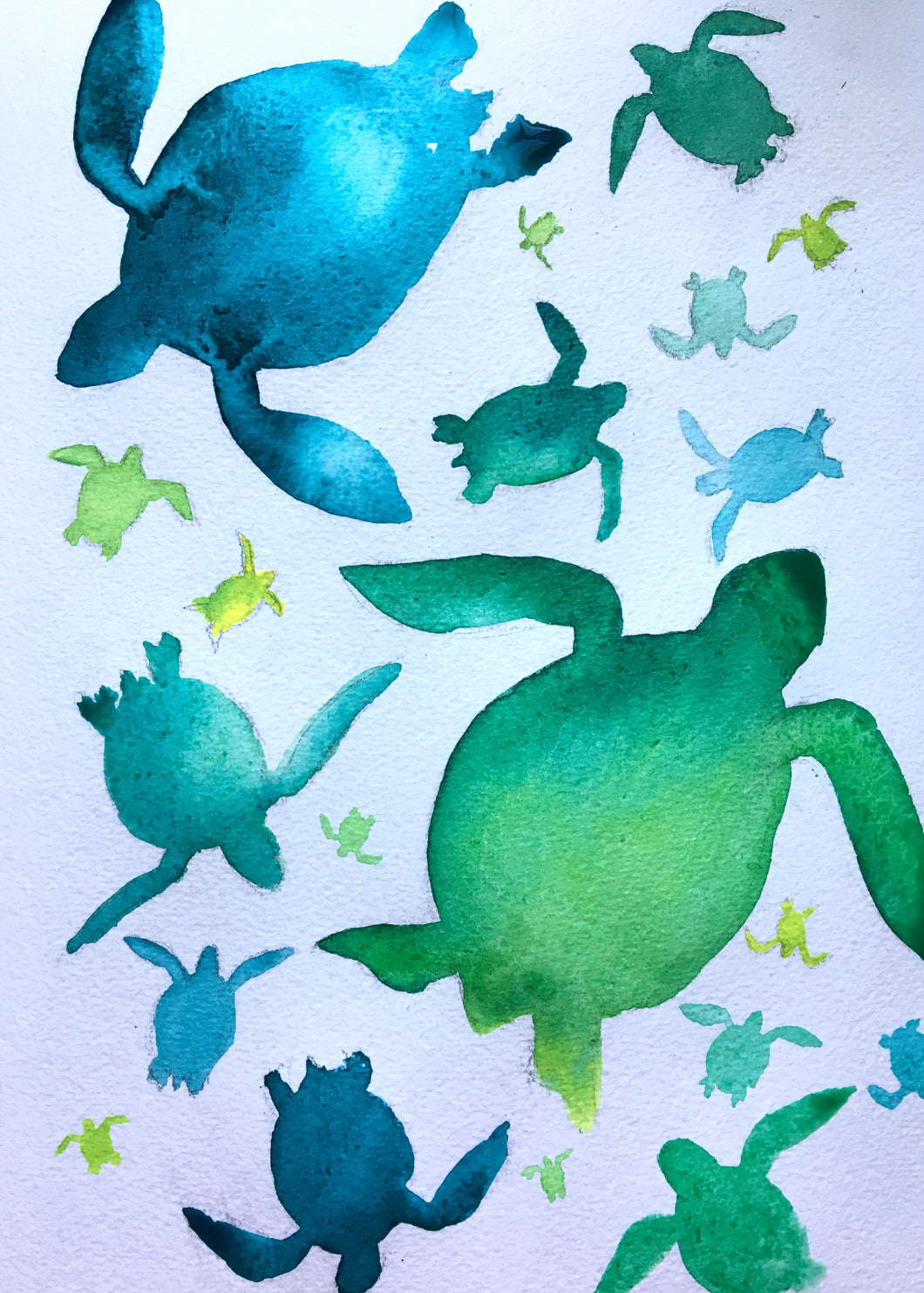 Sea Turtle illustration unframed Giclee print